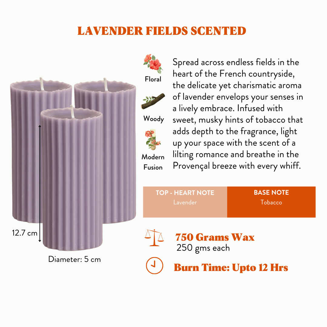 Combo of 3 Lavender 'Belief' Candles - Lavender Fields Scented