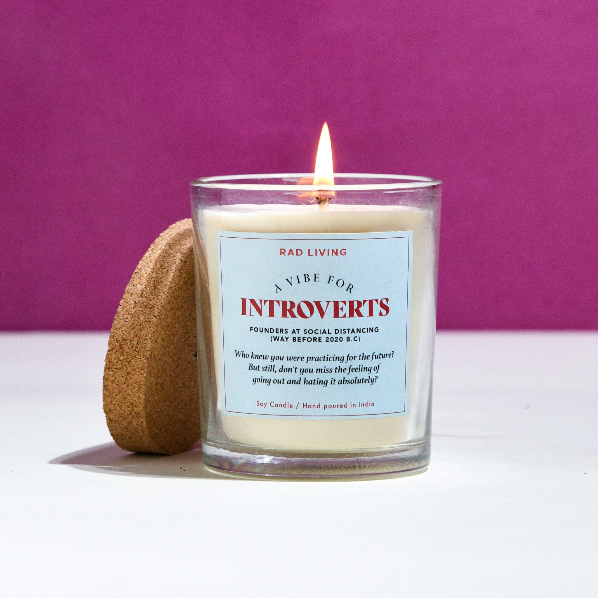 Introverts - Cinnamon Mocha Scented Candle